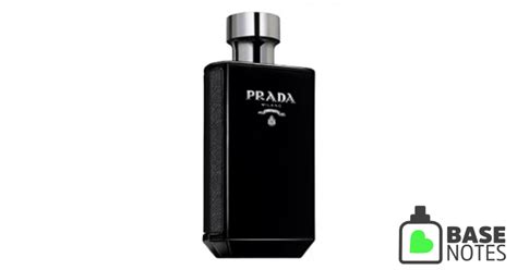 basenotes prada intense|More.